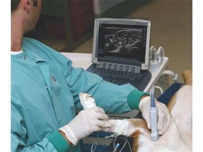 Ketepatan di hujung: Blok saraf yang dipandu ultrasound